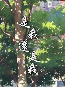是我，还是我